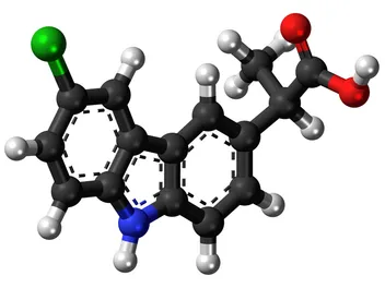 Carprofen for Dogs: Uses, Dosage, and Safety (Vet Answer)