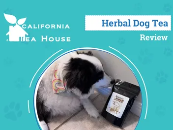 California Tea House Machu’s Blend Herbal Dog Tea Review 2026: An Expert's Breakdown