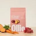 Ollie Baked Beef Dog Food Subscription