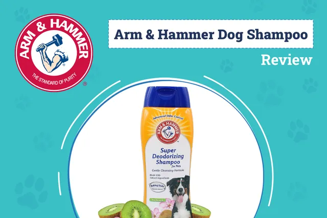 Arm & Hammer Dog Shampoo Review 2026: Pros, Cons & Verdict