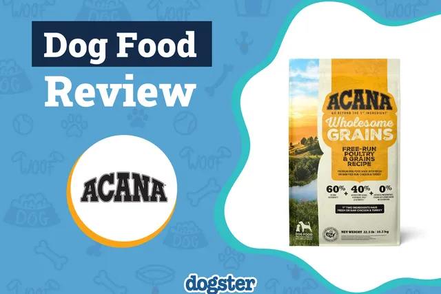 Acana Dog Food Review 2026: Pros, Cons, Recalls & FAQ
