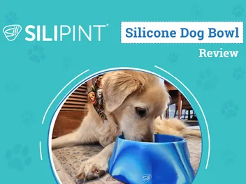 Silipint Silicone Aqua-Fur Dog Bowl Review 2026: An Expert’s Breakdown