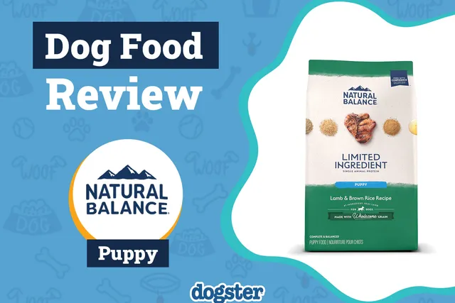 Natural Balance Dog Food Review 2026: Recalls, Pros & Cons
