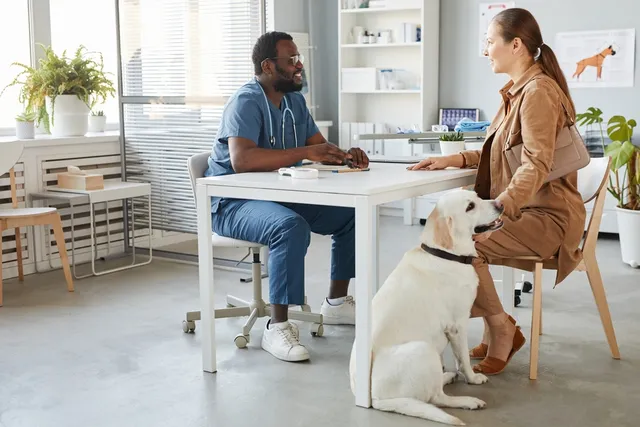 How Long Does It Take to Spay a Dog? Vet-Reviewed Facts & FAQ