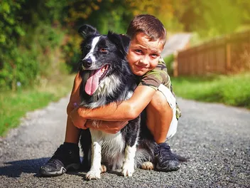 Will a Border Collie Be Good With My Kids? Facts & FAQ
