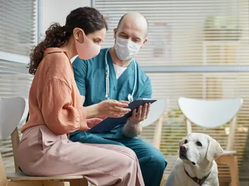 15 Questions to Ask the Vet at Your Next Visit (Approved by Pro)