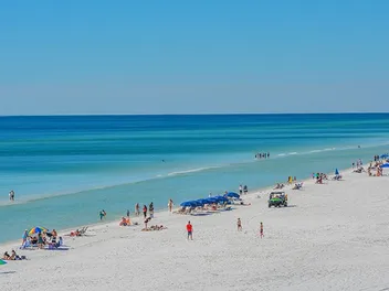 Are Dogs Allowed on Miramar Beach? Local Rules Explained