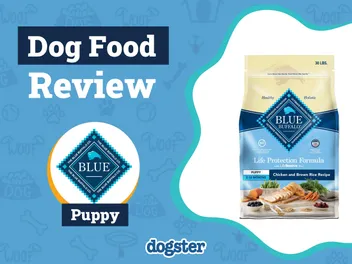 Blue Buffalo Puppy Food Review 2026: Pros, Cons, Recalls & FAQ
