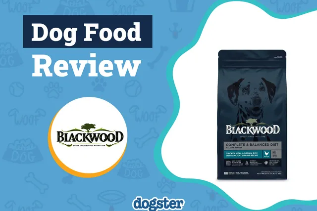 Blackwood Dog Food Review 2026: Recalls, Pros & Cons