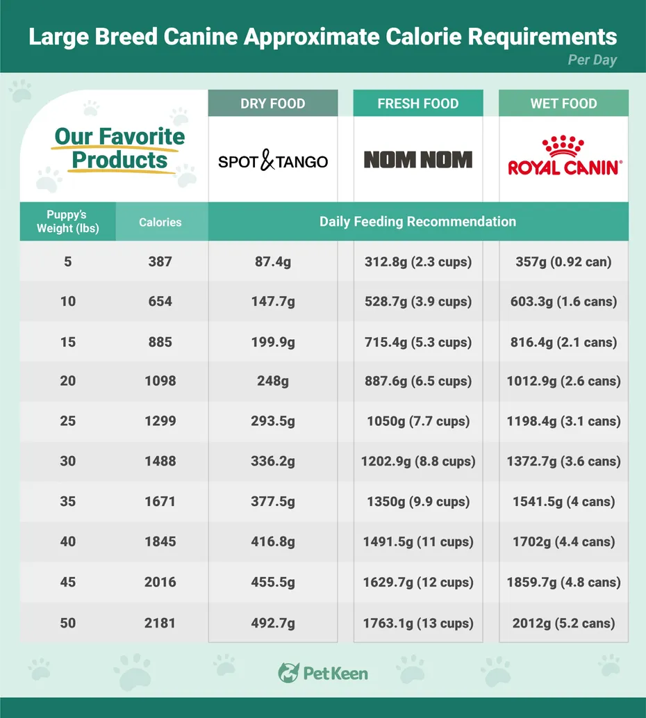 Puppy Large Dog Breed Feeding Chart