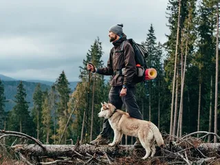 6 Best Dog Breeds for Hiking: Info, Temperament & Pro Tips