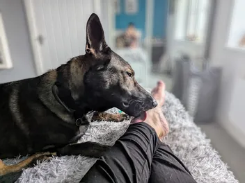 Mmm, Feet… Why Do My Dogs Like Licking Me? The Attraction & Whether It's Normal