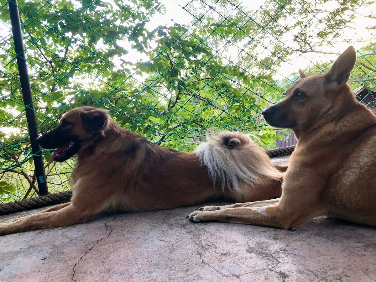 Jelly and Manic chilling...or looking for dangerous things!