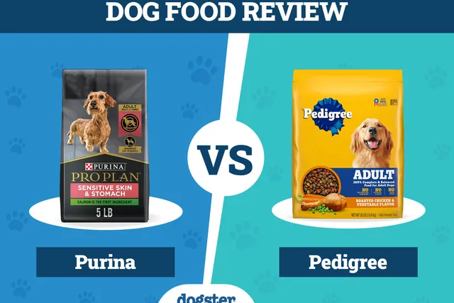 Purina vs. Pedigree Dog Food: 2026 Comparison, Pros & Cons