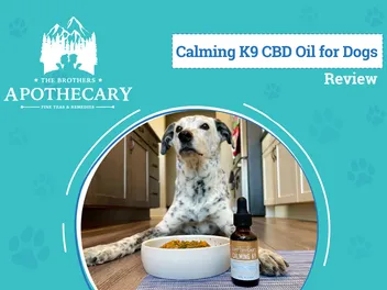 The Brothers Apothecary Calming K-9 CBD Oil Review 2026: Affordable & Effective Tincture for Dogs