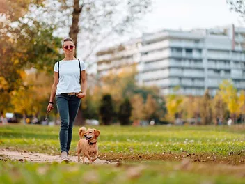10 Off-Leash Dog Parks in San Jose, CA You Can Visit in 2026