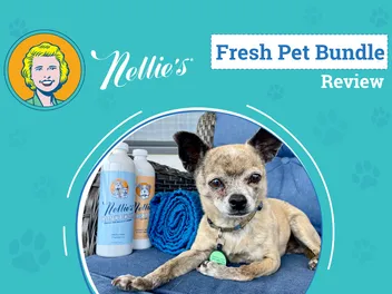 Nellie’s Fresh Pet Bundle Review 2026: For Freshened Up Pets and a Fresh Home