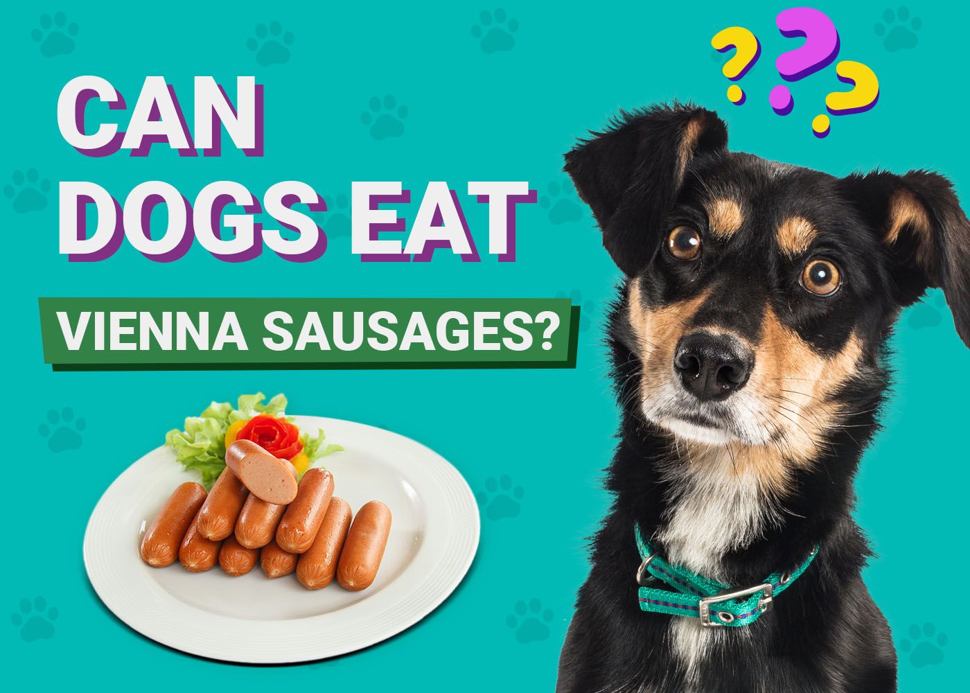 Can Dogs Eat Vienna Sausages
