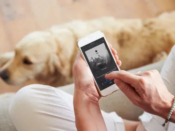 15 Songs for Dog Lovers to Listen to in 2026