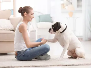 How to Show Love to Your Dog: 10 Affectionate Ways
