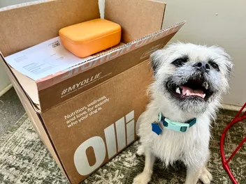 9 Best Non-GMO Dog Foods in 2026: Reviews & Top Picks