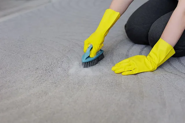 How to Get Dog Pee Out of Your Carpet: 4 Tips & Tricks