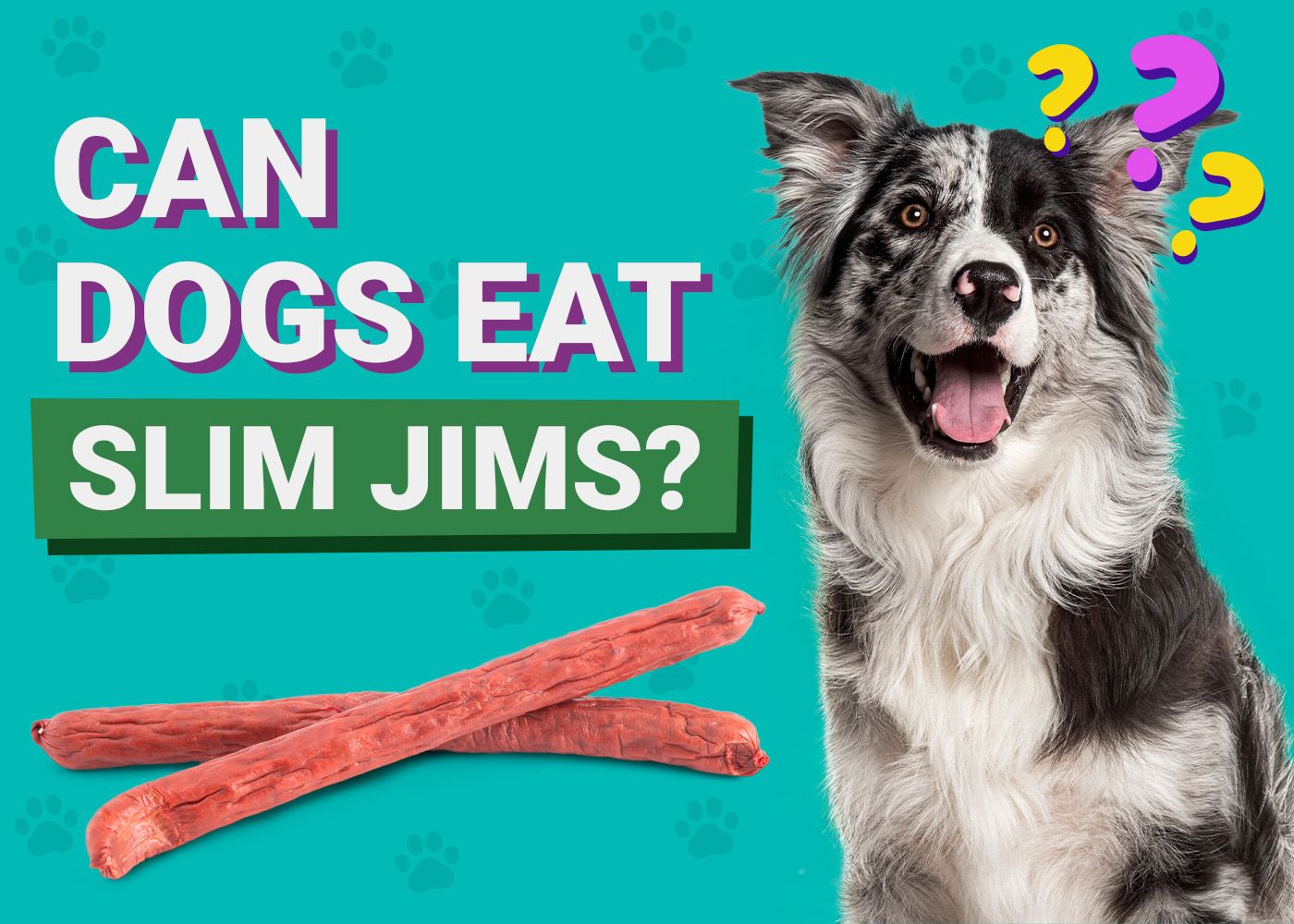 Can Dogs Eat_Slim Jims