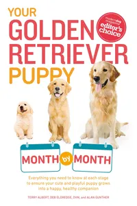 Your Golden Retriever Puppy Month by Month