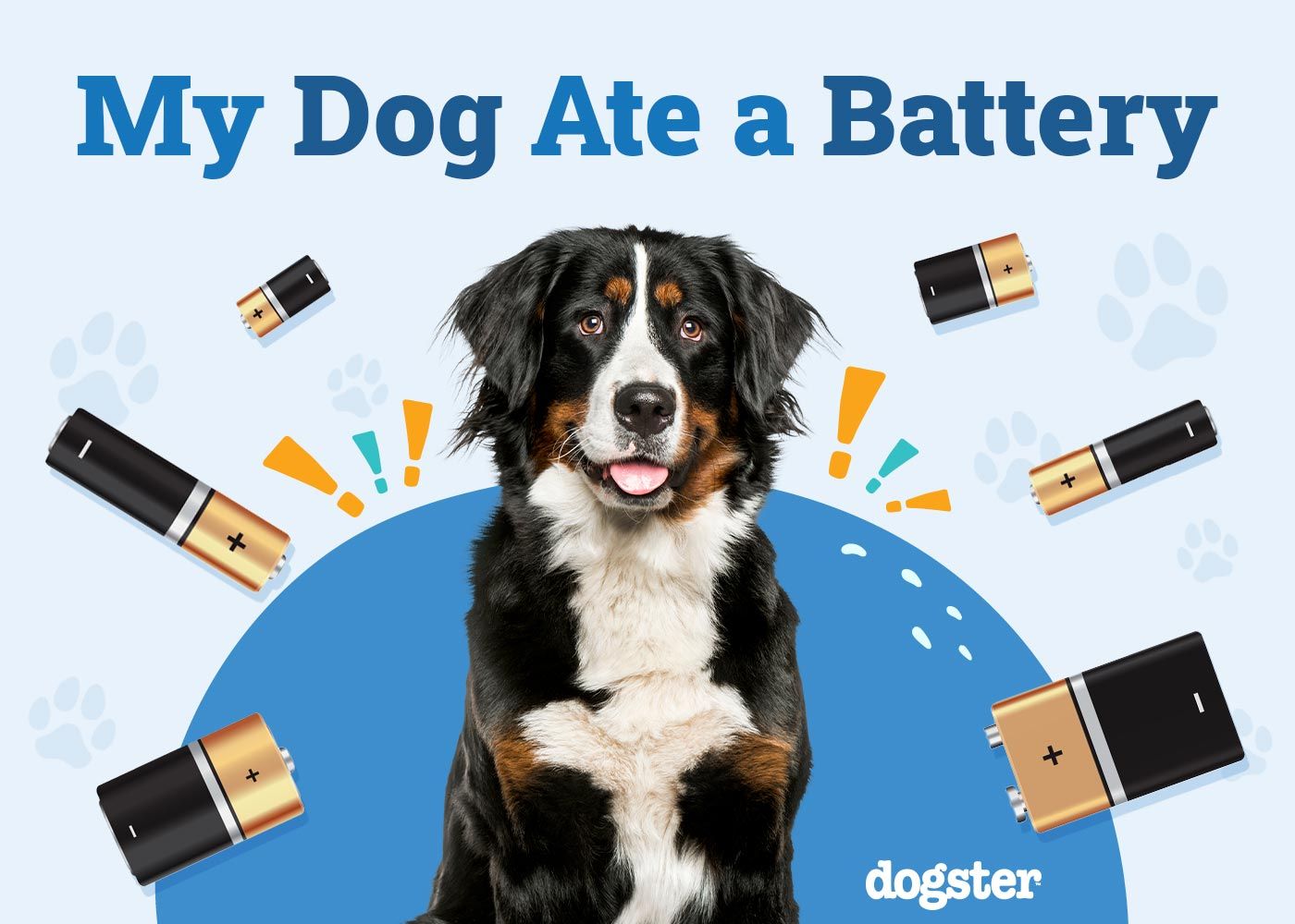 My Dog Ate a Battery