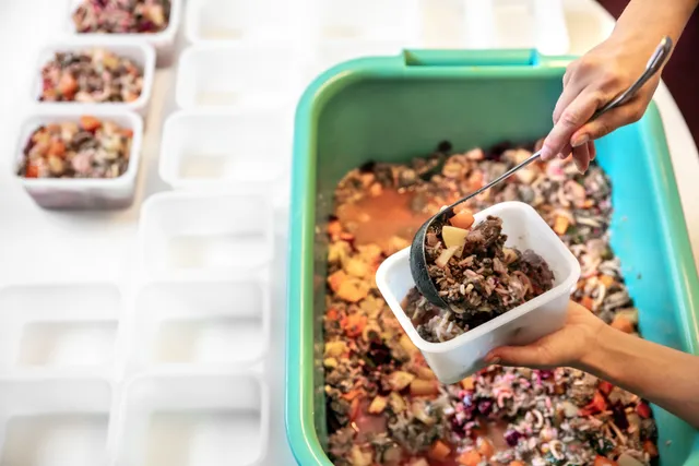 How to Store Wet Dog Food: 7 Vet Approved Tips & Tricks