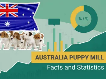 13 Heartbreaking Australian Puppy Mill Statistics to Know in 2026
