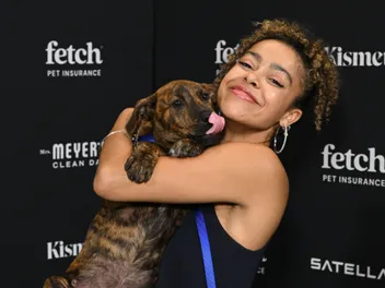 Broadway Stars Shine and Shelter Dogs Take Center Stage at the Fetch Pet Gala!