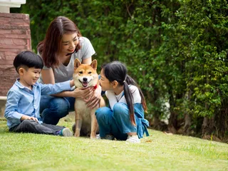 Are Dogs Good for Kids? 7 Vet-Approved Reasons for a Canine Companion