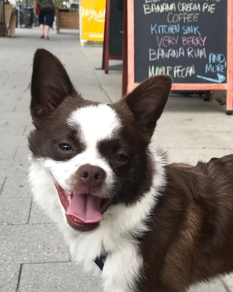 Pomston standing on a street