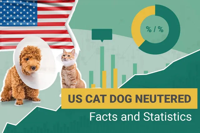 How Many Dogs and Cats Are Neutered in the US? 2026 Update