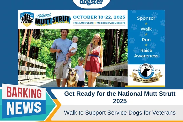 Get Ready for the National Mutt Strutt 2025: Walk to Support Service Dogs for Veterans