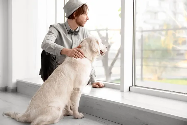 How to Protect Dogs from Wildfire Smoke: 5 Vet-Approved Tips