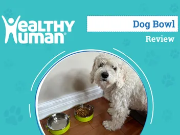 Healthy Human Pet Go Bento Bowl Review 2026: An Expert's Breakdown