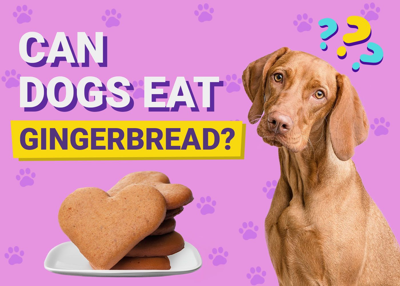 Can Dogs Eat Gingerbread