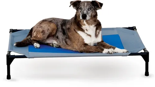 K&H Pet Products Coolin' Cot Elevated Dog Bed