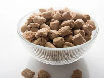 Freeze-Dried Dog Food: 8 Vet-Verified Pros & Cons