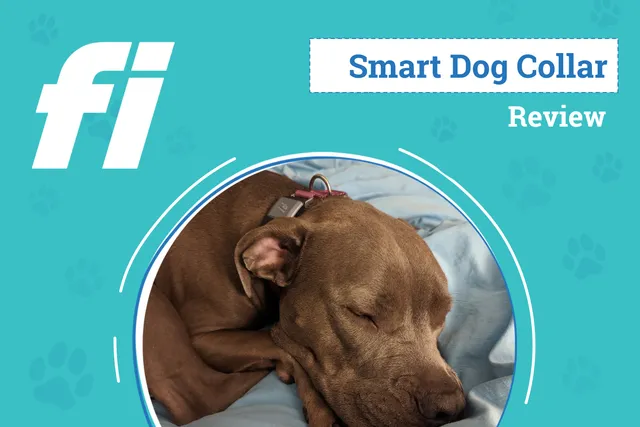 Fi Smart GPS Dog Collar Review 2026: An Expert's Breakdown
