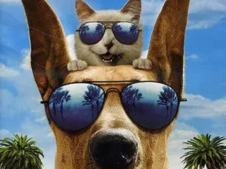 What Breed of Dog Is Marmaduke? Cinematic Dogs Presented