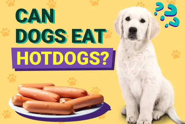 Can Dogs Eat Hot Dogs? Vet-Reviewed Facts & Safety Guide