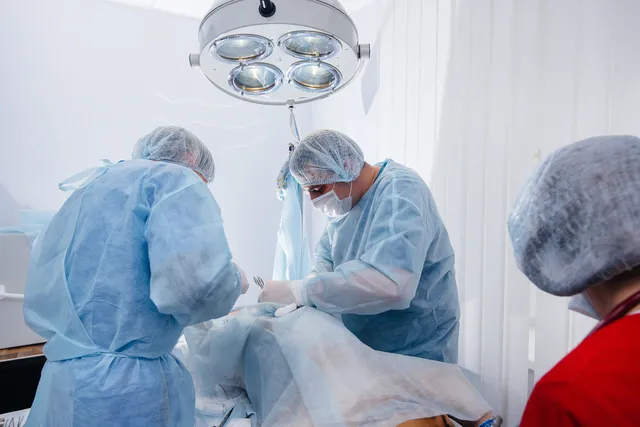 How Much Does a Dog Cesarean Section Cost? (2026 Price Guide)