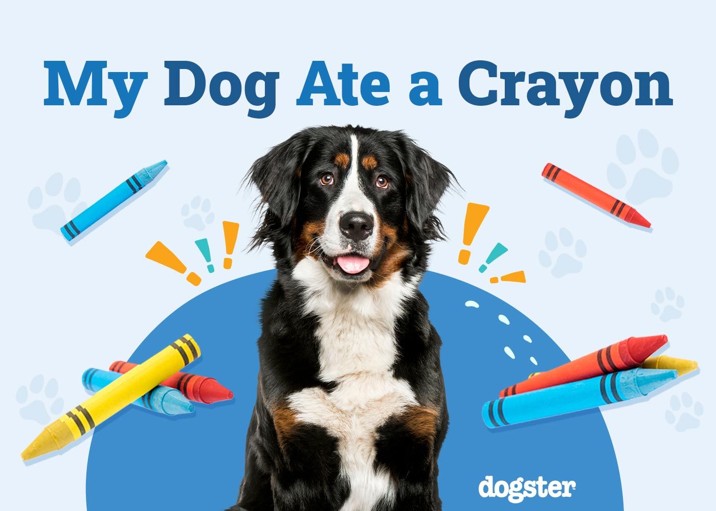 My Dog Ate a Crayon