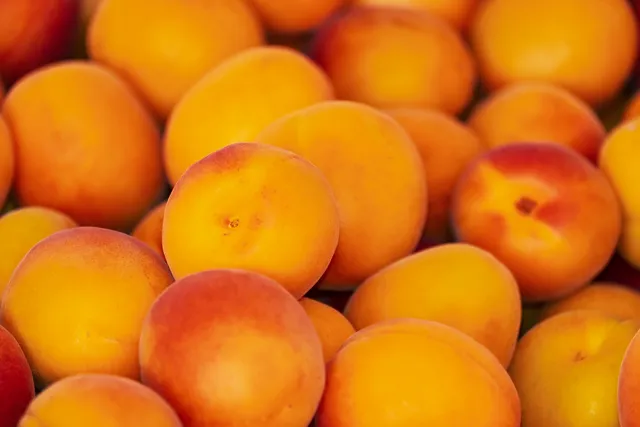 Can Dogs Eat Apricots? Vet-Verified Nutrition Facts & Precautions