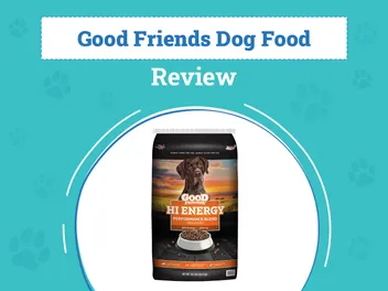Good Friends Dog Food Review 2026: Pros, Cons & Verdict