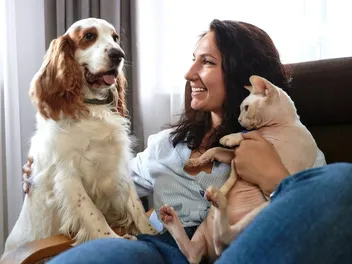 How to Introduce a Cat to a Dog in an Apartment: 10 Vet-Approved Tips