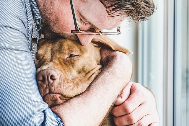 When to Euthanize a Dog With Cancer (Vet-Answer)